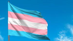 Transphobia position statement