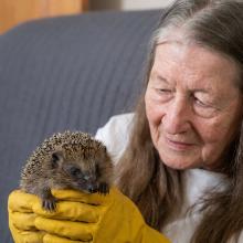 Tish and hedgehog